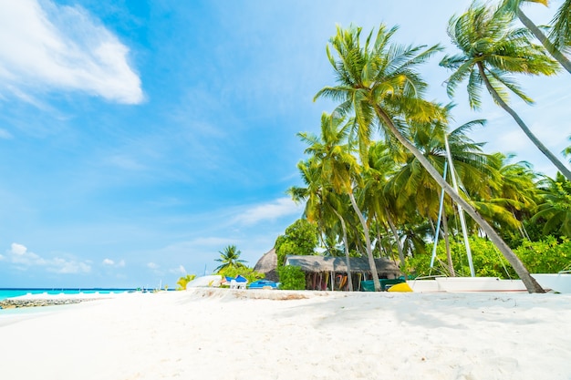 Local tour operators