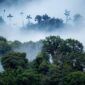 1a cloud forest landscape mashpi wildlife 13 222 85x85