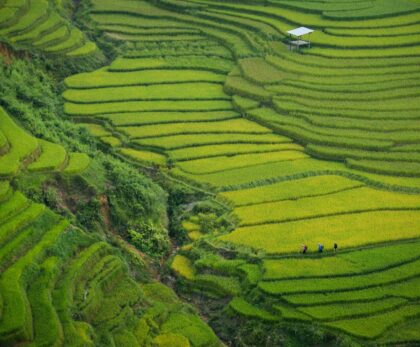 aerial photography of green mountain