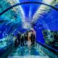 underwater tube