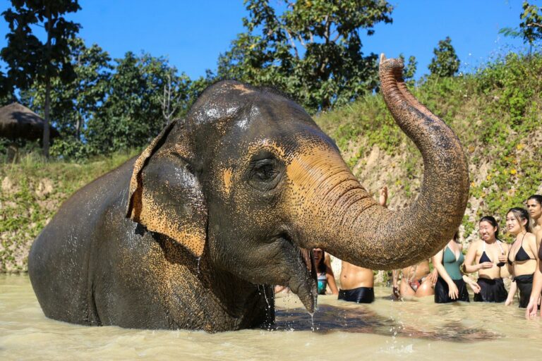 Thailand travel guide